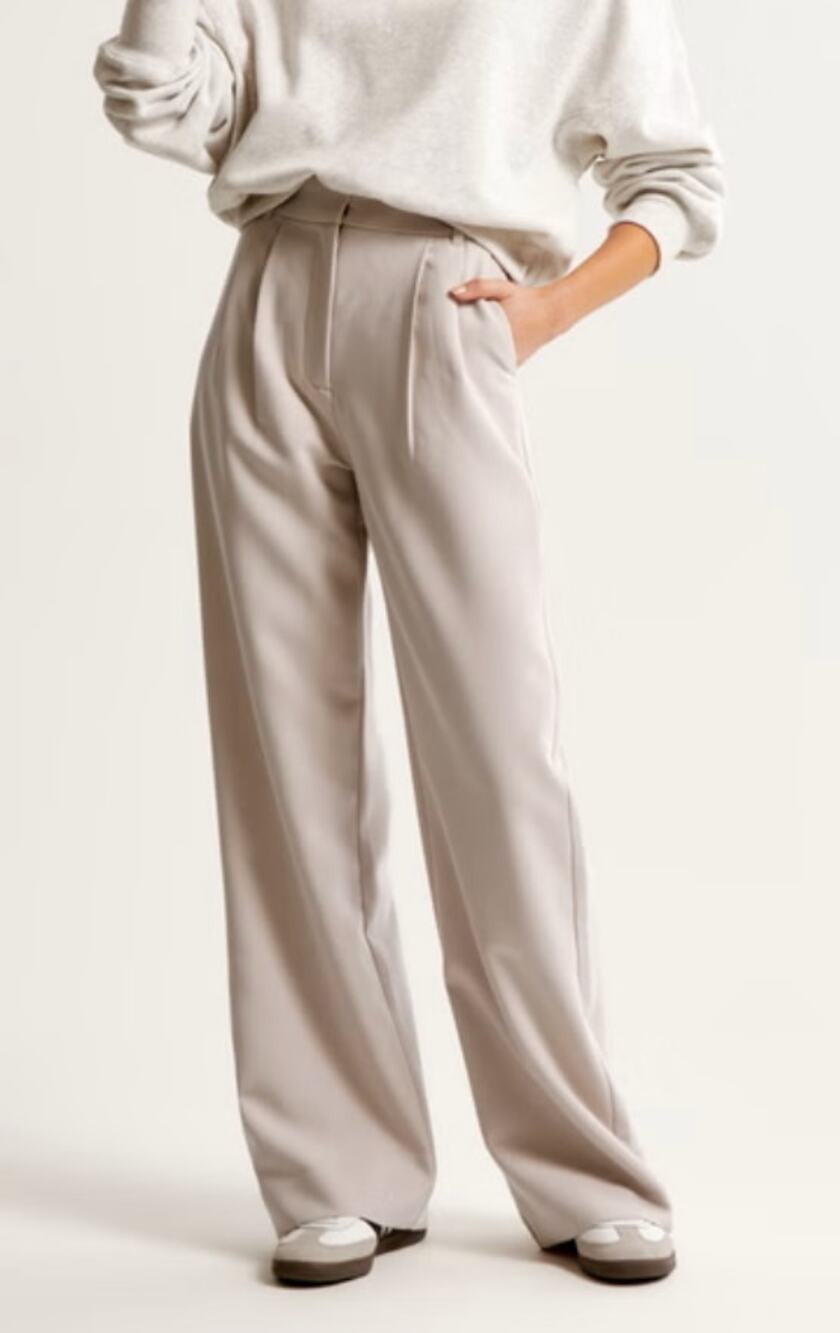 Abercrombie Sloane Tailored Wide Leg Pants Light Taupe Pleated Trousers 29/8